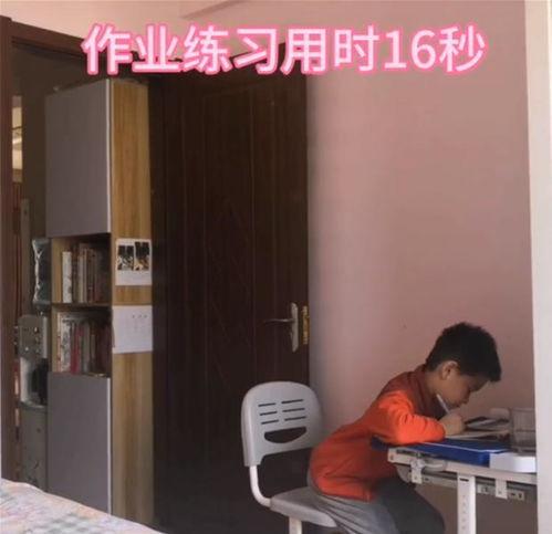 小孩写作业爆料视频大全